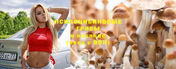 марки lsd Армянск